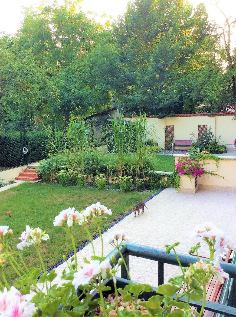 Apartament Amaryllis คราคูฟ ภายนอก รูปภาพ